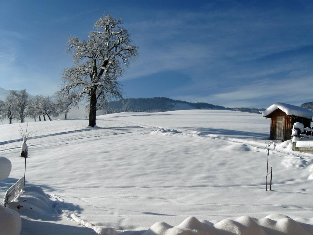 Villa Schweizer Hof à Schwarzenberg im Bregenzerwald Extérieur photo